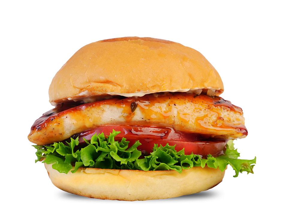 TERIYAKI CHICKEN