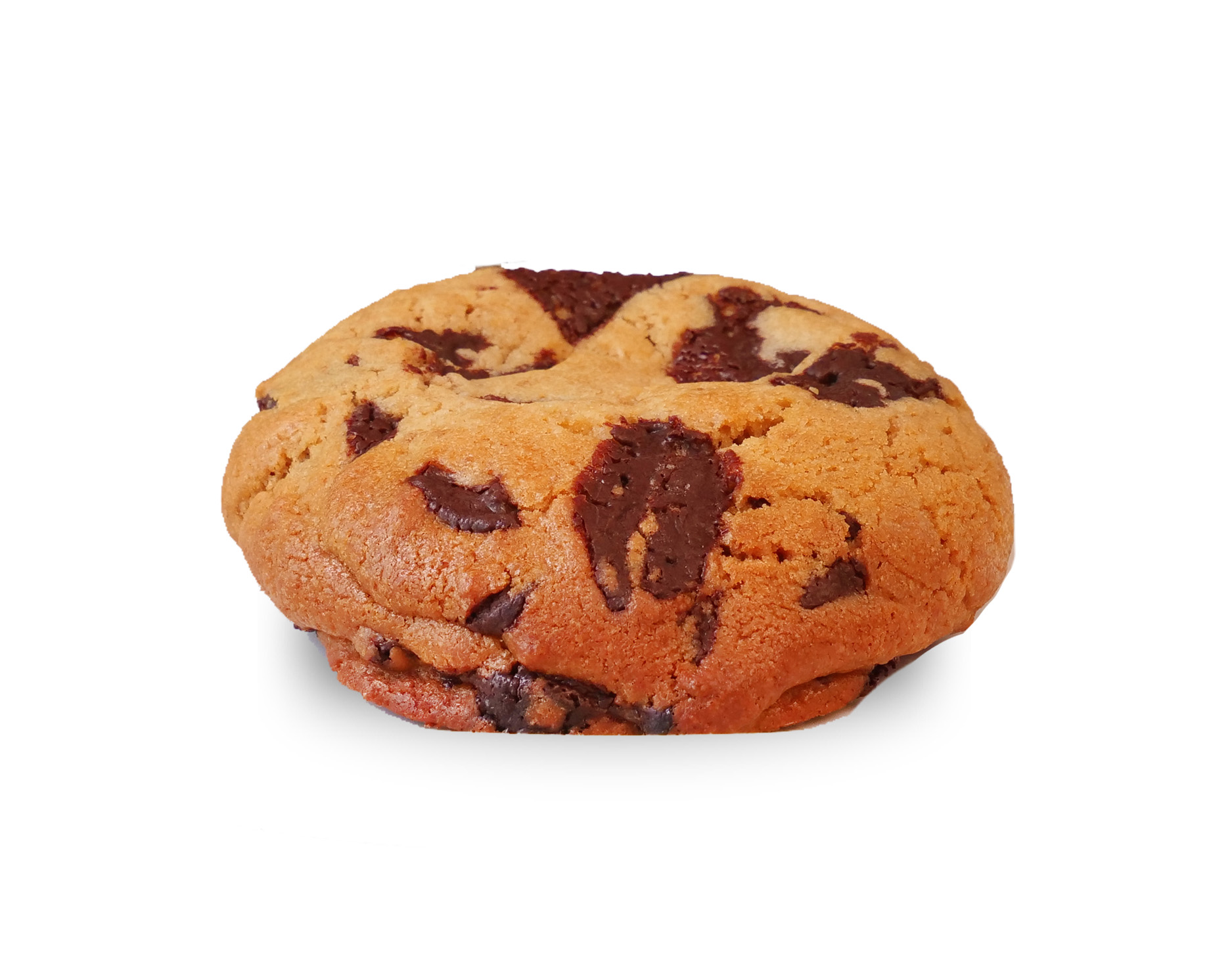 CHOCOLATE CHIP